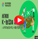 ������������_�����